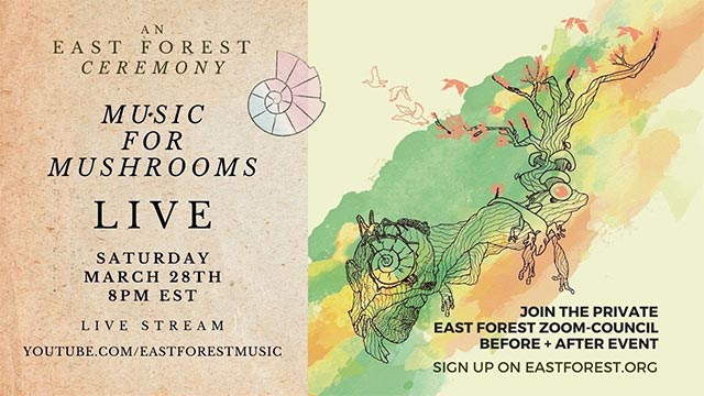 Music For Mushrooms - LIVE an East Forest Ceremony