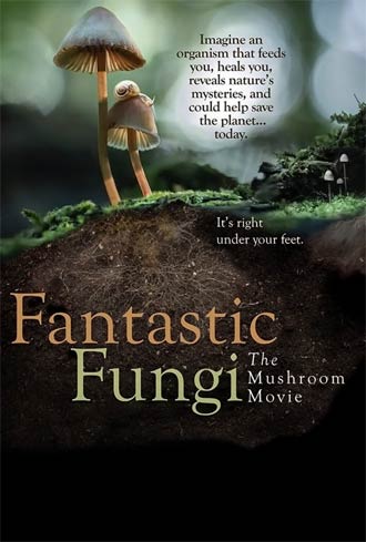 Fantastic Funghi