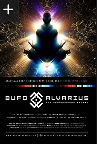 Bufo Alvarius – The Underground Secret